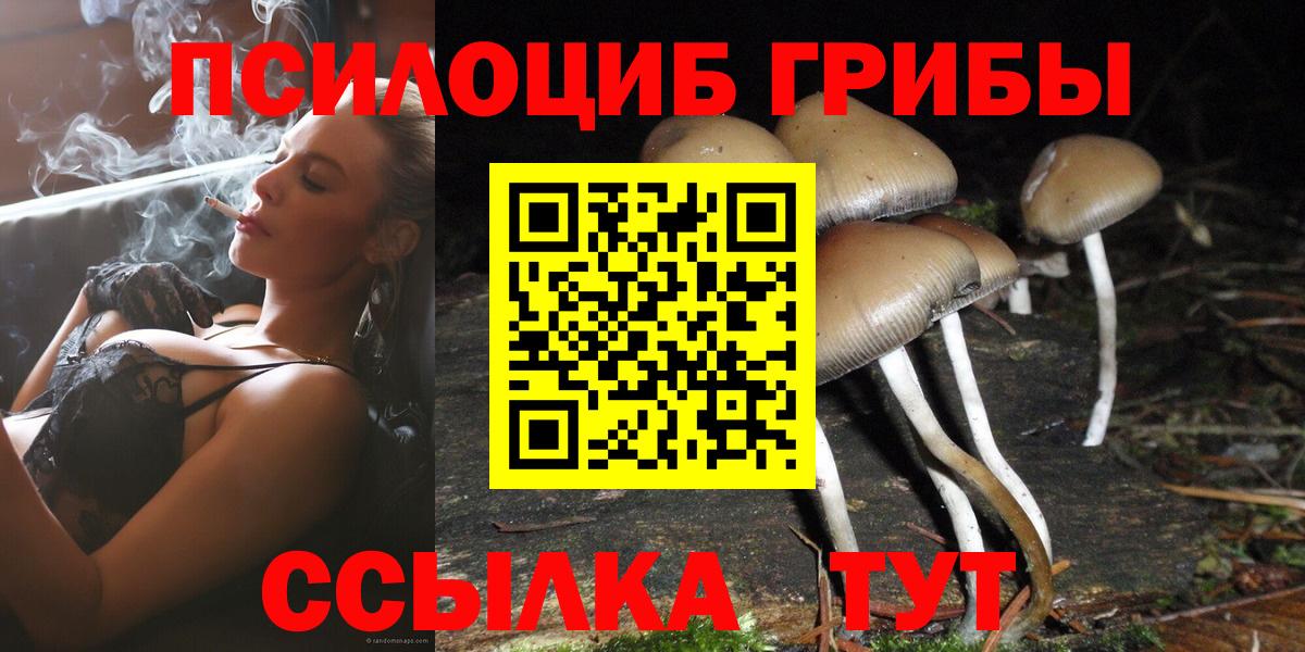 Тихвин  Галлюциногенные грибы мицелий  хочу   Вход с VPN  Галлюциногенные грибы мицелий 